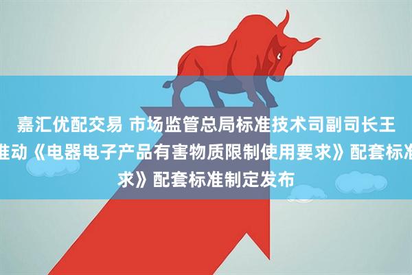 嘉汇优配交易 市场监管总局标准技术司副司长王玉环：将推动《电器电子产品有害物质限制使用要求》配套标准制定发布